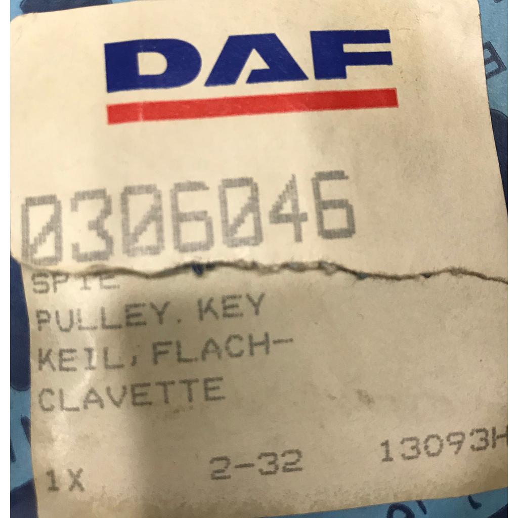 DAF Spie no0306046